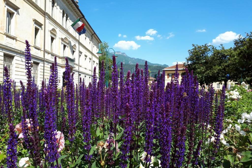 Schoenes Altstadt-Apartment "Dolce Vita" Inkl Parkplatz 加尔达湖滨 外观 照片